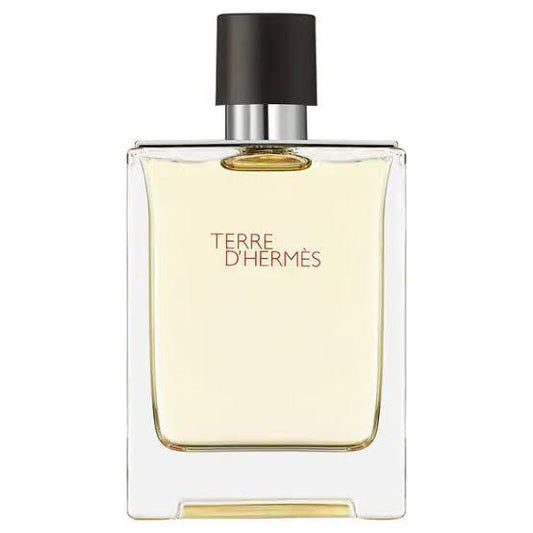 Terre d’hermès EAU DE TOILETTE 100 ml